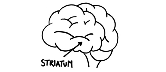如何在酒店营销中利用同理心作用 - 环球旅讯(