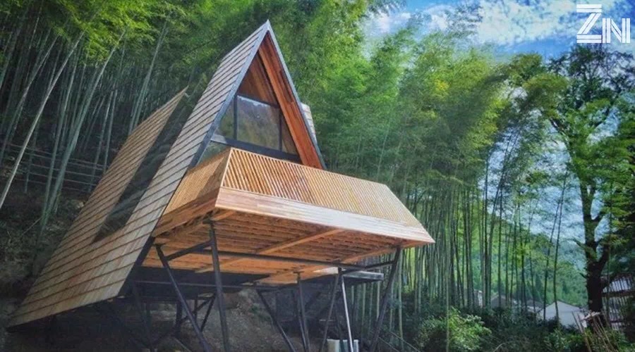 乡伴创始人朱胜萱:民宿是我们的壳，乡伴的理想是打通城乡之路