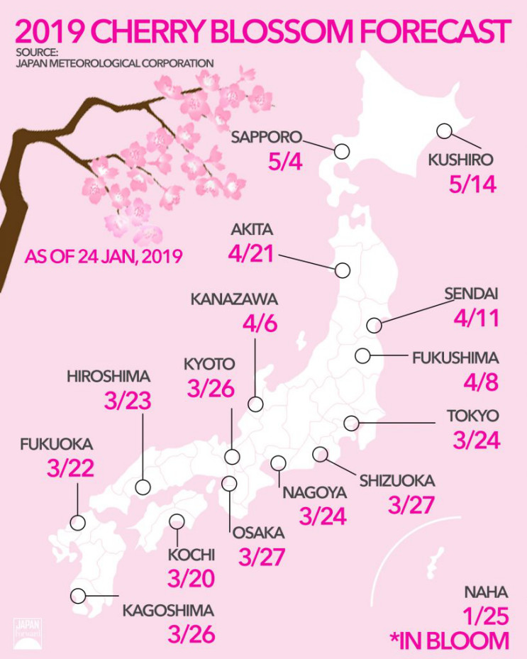 6300万游客、182亿消费 日本樱花季如何吸睛又吸金